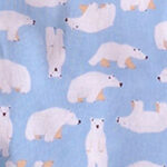 Artic Slumber