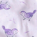 Lavender Songbird