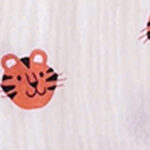Little Tiger