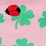 Lucky Ladybug Clover
