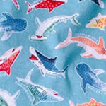 Shark Attack!