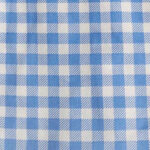 Classic Gingham Blue