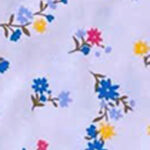 Cottage Garden