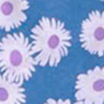Dreamy Daisy Blue