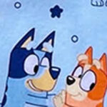 Playful Bluey & Bingo