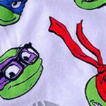 Teenage Turtles