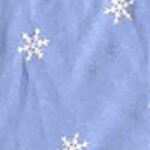 Winter Snowflake