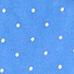 Dainty Dot Blue