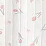 Dainty Tulip White