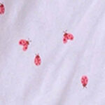 Ladybug Party